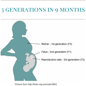 3 generations in 9 months (2)